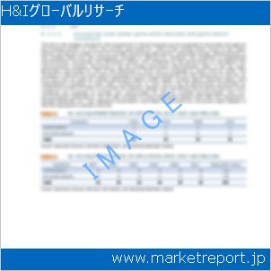 市場と産業調査レポートのイメージ